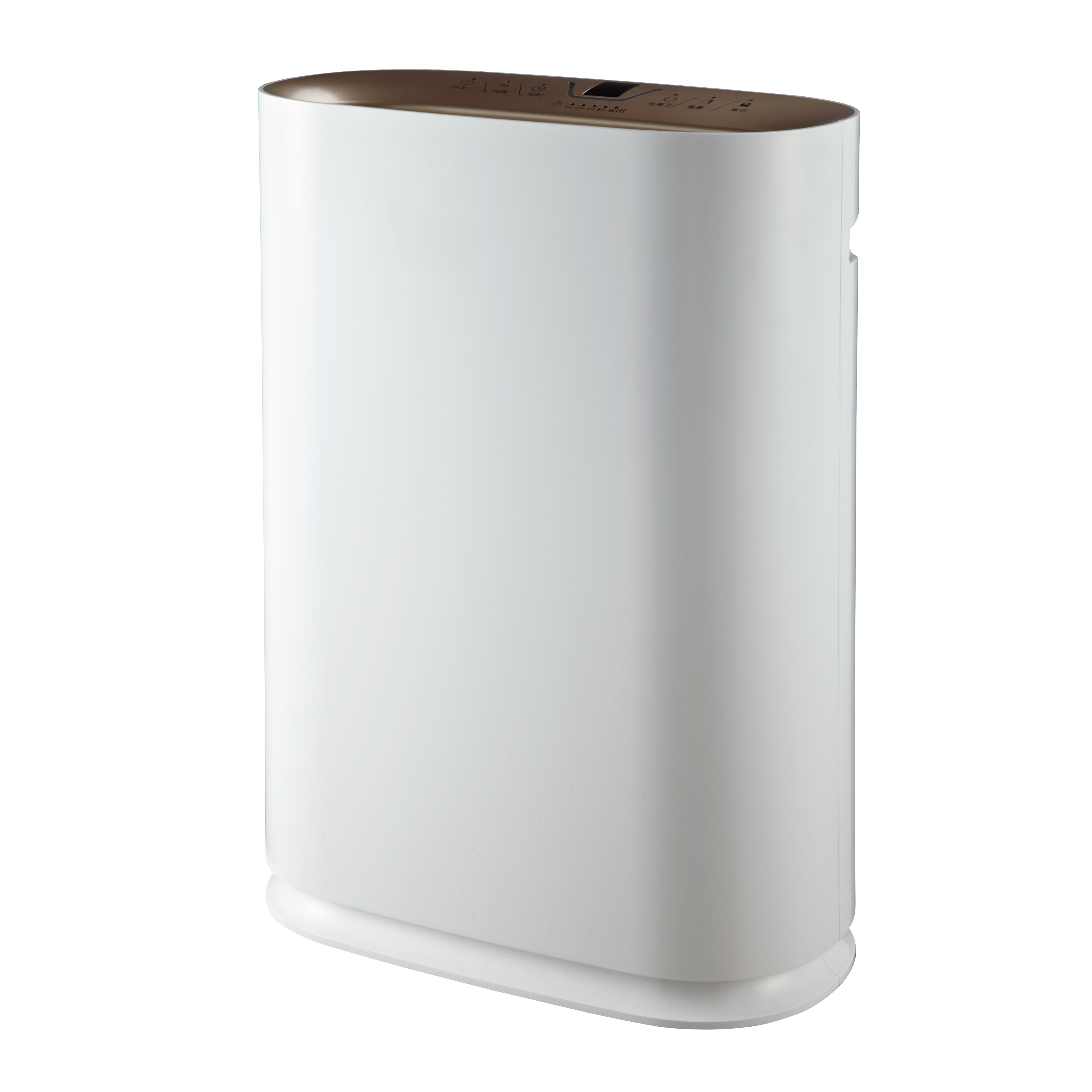 Odstraňte formaldehyd nejlépe, užijte si čerstvý vzduch většinu BKJ-300