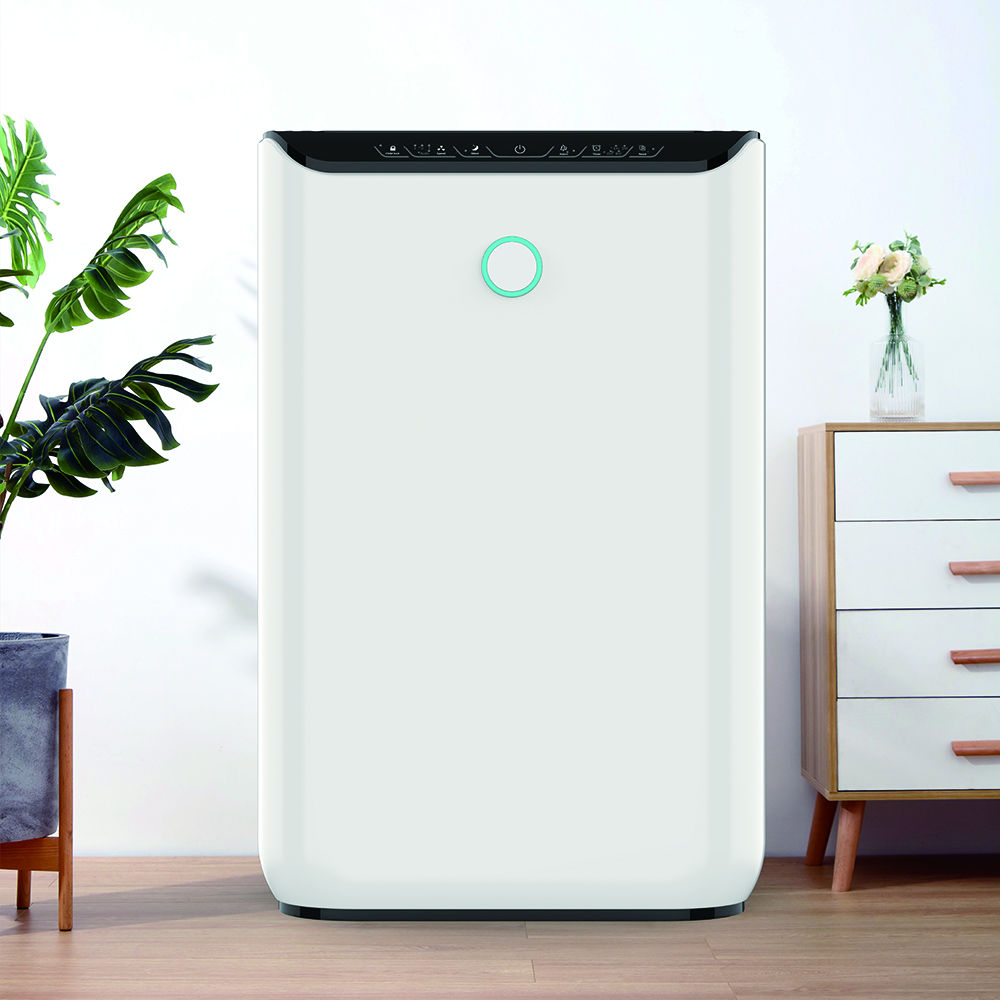 Odstraňte formaldehyd nejlépe, užijte si čerstvý vzduch většinu BKJ-370