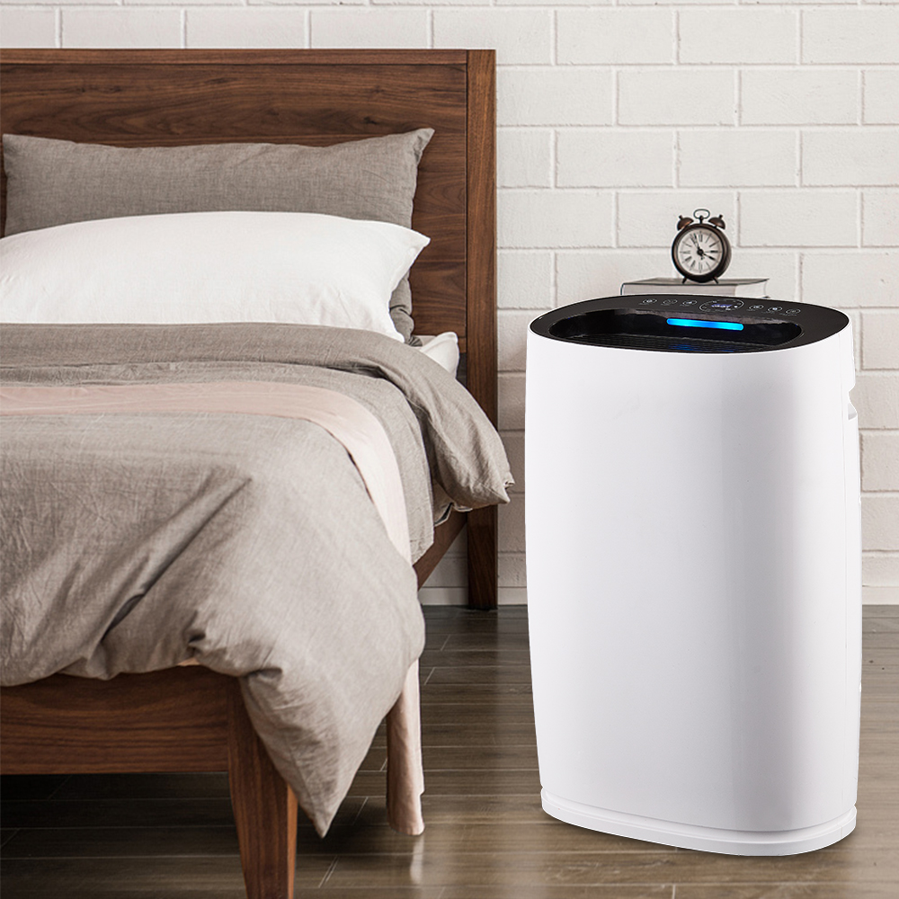 Odstraňte formaldehyd nejlépe, užijte si čerstvý vzduch většinu BKJ-306