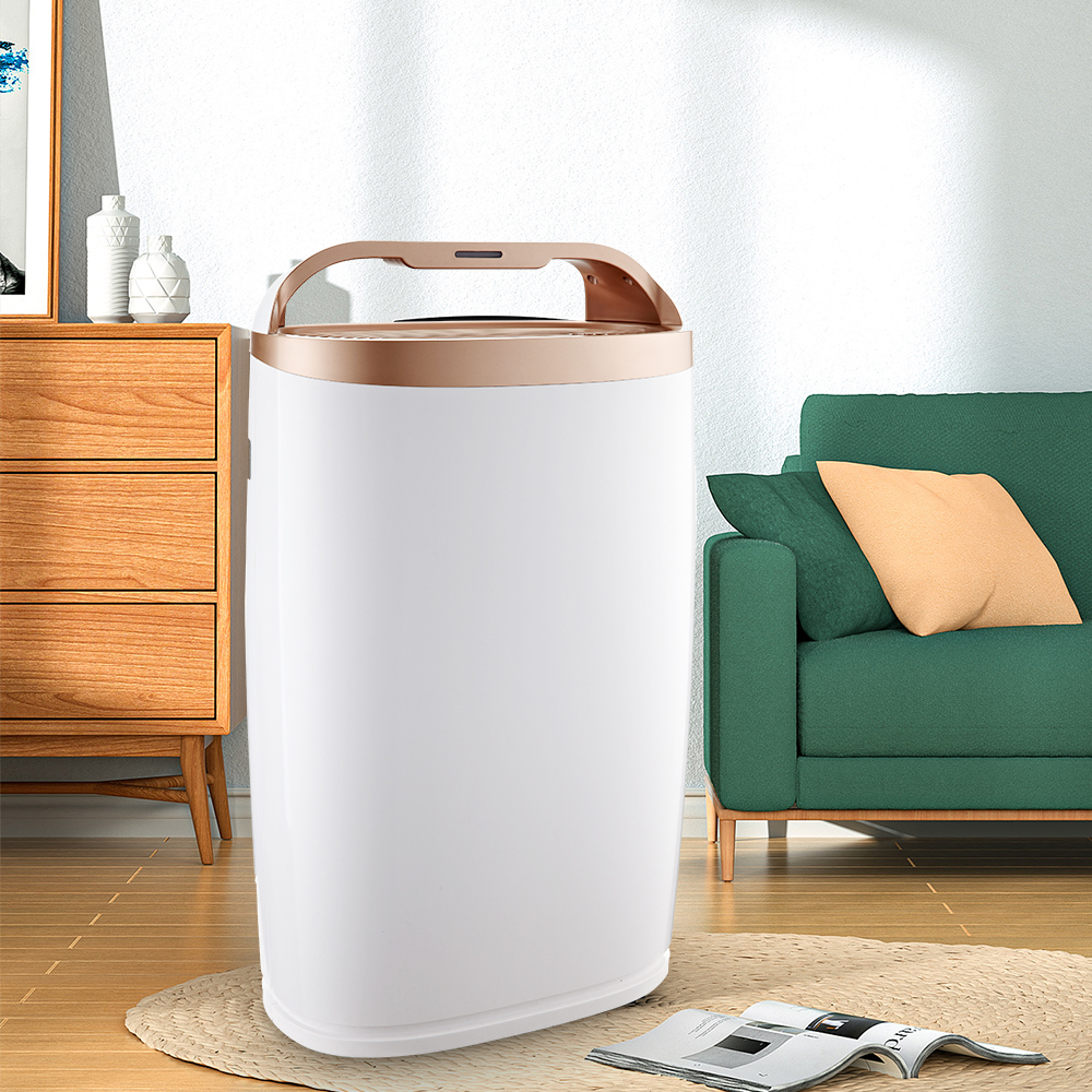 Odstraňte formaldehyd nejlépe, užijte si čerstvý vzduch většinu bkj-306a